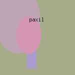 order paxil