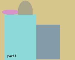 paxil side effects