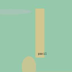 cheap paxil