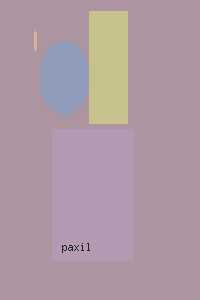 paxil medication