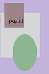 discount paxil