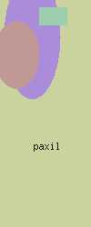 cheap paxil