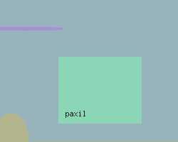 paxil information