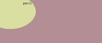 paxil side effects go
